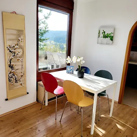 2 Mauntain View Apartment *