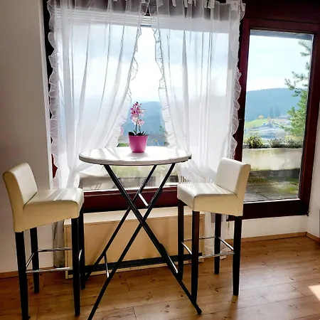 Apartment 2 Mauntain View