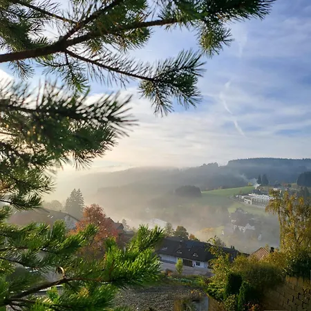 2 Mauntain View Schonach im Schwarzwald